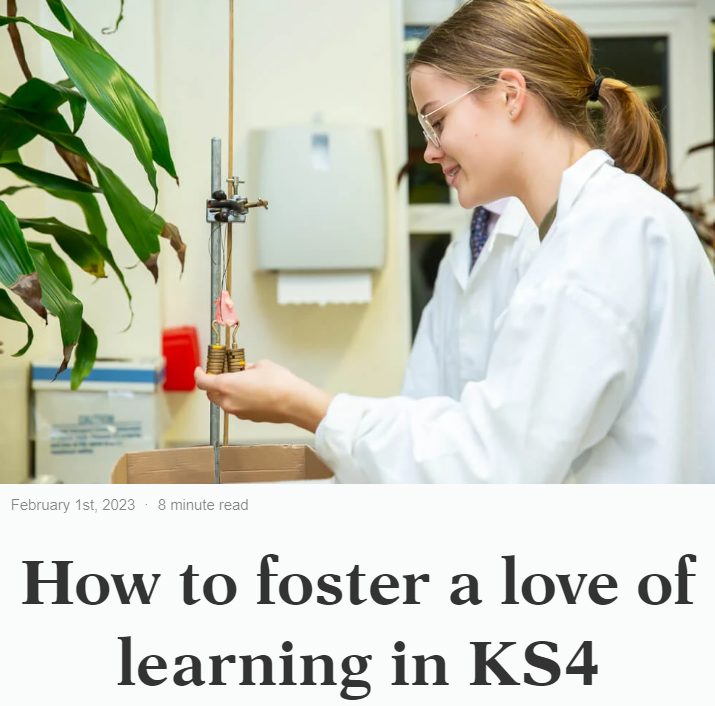 Blog article example 4